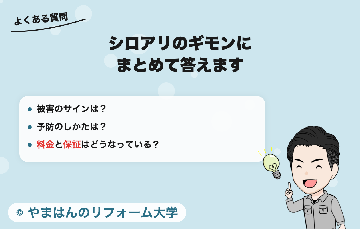 シロアリに関するよくある質問